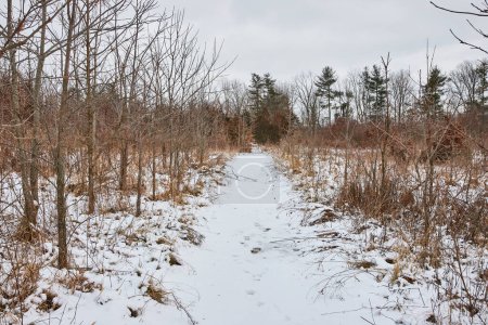 Tranquil Paseo de Invierno por el Sendero Cubierto de Nieve en Whitehurst Nature Preserve, Fort Wayne, Indiana