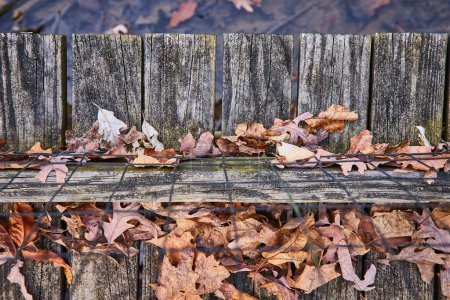 Herbst in Indiana, rustikaler Holzzaun geschmückt mit Herbstblättern im Lindenwood Preserve