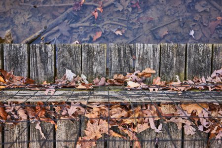 Herbstliche Ruhe in Indiana - Verwittertes Dock mit Blick auf ruhige Gewässer im Lindenwood Preserve.