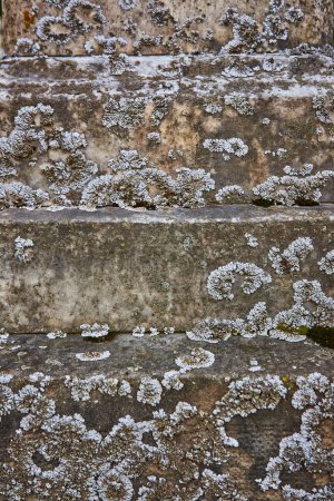 Des marches anciennes en pierre ornées de lichen au cimetière Lindenwood, en Indiana, racontant un conte sur le temps, la nature et l'histoire.