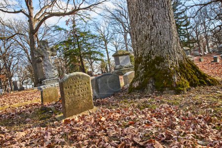 Photo for Autumnal Resonance at Lindenwood Cemetery, Fort Wayne at a serene display of weathered gravestones beneath a moss-laden tree, encapsulating the passage of time. - Royalty Free Image