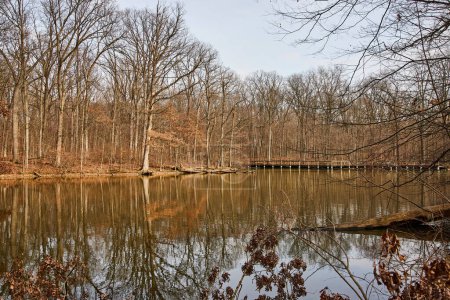 Serene late autumn scene at Lindenwood Preserve, Indiana, showcasing a calm lake reflecting barren trees, with a quaint wooden bridge spanning across.