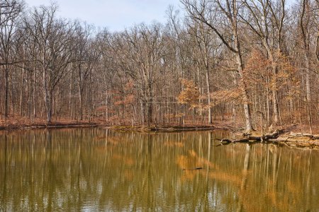 Ruhige Herbstreflexionen im Lindenwood Preserve, Fort Wayne - Heiterer Woodland Pond im Spätherbst