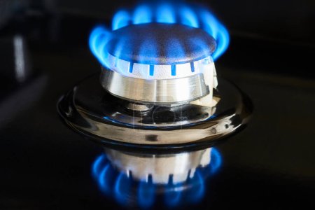 Danse de la flamme bleue efficace sur un brûleur à gaz moderne, symbolisant l'énergie propre et la cuisine contemporaine à Fort Wayne, Indiana.