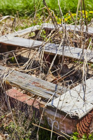 Récupéré par la nature, une palette abandonnée à Rustic Spiceland, Indiana