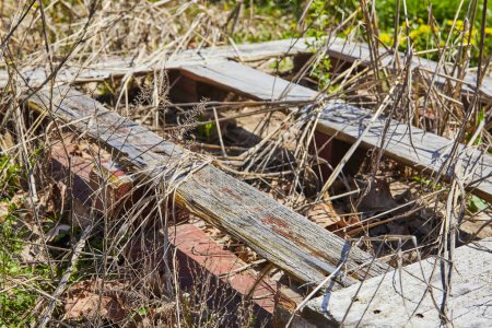 Las reliquias sobrantes de la decadencia rural en Spiceland, Indiana - madera desgastada y ladrillos viejos en medio de la invasión de la naturaleza.