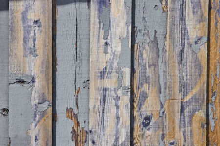 Gros plan de bois d'écurie bleu altéré en Spiceland, Indiana, mettant en valeur la texture rustique et le passage implacable des temps