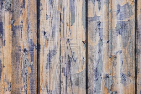 Primer plano de la verja de madera de haya rústica y erosionada de Spiceland, Indiana, que muestra la belleza de las texturas envejecidas y los restos de pintura azul descoloridos.