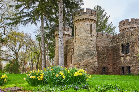 Frühling am Bishop Simon Brute College in Indianapolis mit einem historischen Steinschloss inmitten blühender Narzissen, das Frieden und Gelassenheit verkörpert.