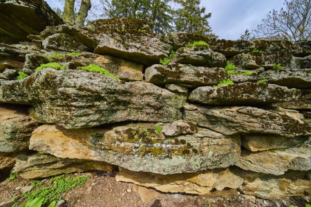Primavera en Indiana, capturando la resiliencia de la naturaleza en un muro de piedra cubierto de musgo en el Bishop Simon Brute College.