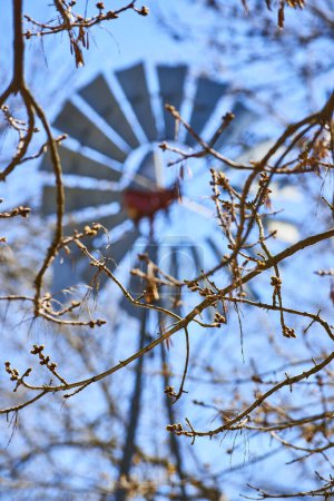 Téléchargez les photos : Printemps à Fort Wayne, Indiana : Moulin à vent brouillé derrière à travers les branches bourgeonnantes contre un ciel bleu clair. - en image libre de droit