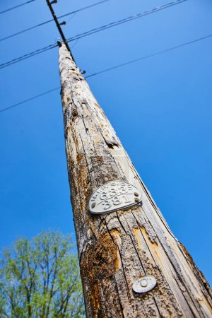 Aging telephone pole in Warsaw, Indiana, etched with history under a clear blue sky, symbolizing enduring connectivity.
