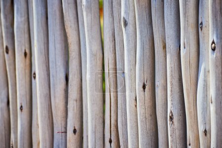 Clôture en bois altérée à Fort Wayne, Indiana, mettant en valeur la beauté naturelle et vieillissante et la résilience.