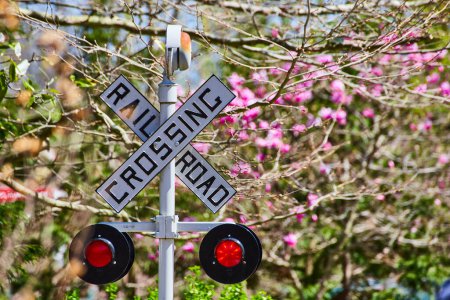 Railroad crossing sign amidst vibrant pink blooms and lush greenery, symbolizing natures harmony with technology.