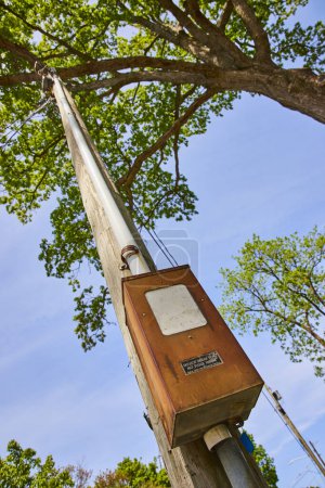 Photo for Aged utility pole with rusted electric meter amidst lush greenery under a clear sky in Fort Wayne. - Royalty Free Image