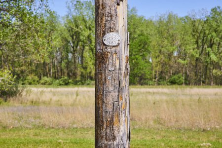 Aged utility pole with moss and peeling bark stands against a vibrant rural Indiana landscape.