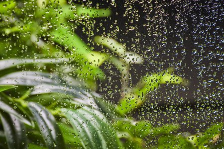 Regentropfen am Fenster mit Blick auf den üppigen Garten symbolisieren Ruhe und Erneuerung nach dem Regen in Fort Wayne.