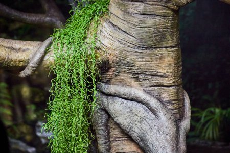 Elephant trunk and vibrant greenery intertwine in a serene, shadowy forest at Fort Wayne Zoo, Indiana.