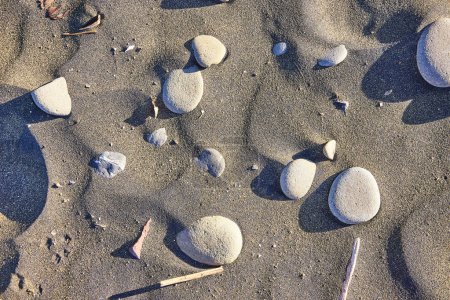 Découvrez la beauté sereine de Whaleshead Beach au Samuel H. Boardman State Scenic Corridor à Brookings, Oregon. Des cailloux lisses éparpillés sur du sable fin créent un motif paisible et naturel.