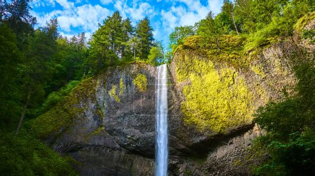 Breathtaking aerial view of Latourell Falls cascading down a moss-covered cliff in the lush Columbia Gorge, Oregon. This serene natural scene captures the stunning beauty and tranquility of a
