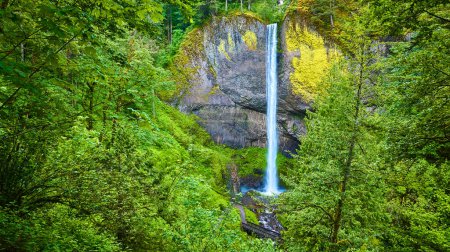 Aerial view of Latourell Falls in Columbia Gorge, Oregon. The waterfall cascades down a rugged cliff into a misty pool, surrounded by lush forest. Perfect for travel, conservation, and outdoor
