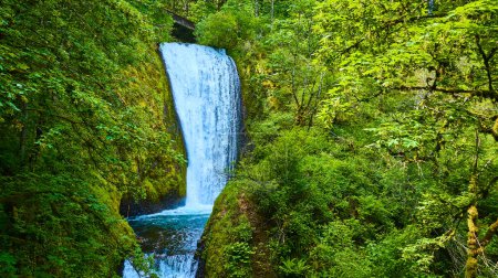 Aerial view of Bridal Veil Falls in Columbia Gorge, Oregon. The powerful waterfall cascades amidst lush greenery, creating a serene and vibrant scene perfect for promoting travel, nature, and outdoor