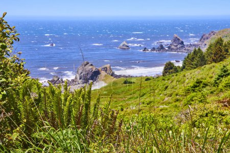 Rugged coastline of Lone Ranch Beach in Samuel H. Boardman State Scenic Corridor. vibrant ocean waves meet lush greenery under a bright blue sky. Perfect for themes of nature, travel, and tranquility.