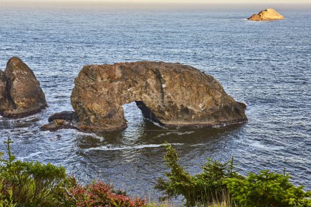 Serene coastal landscape featuring the majestic Arch Rock in Brookings, Oregon. Framed by vibrant foliage, the weathered stone arch offers a breathtaking view of the shimmering Pacific Ocean in late