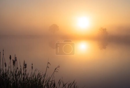 Foto de Campiña holandesa durante un amanecer nublado y tranquilo. - Imagen libre de derechos