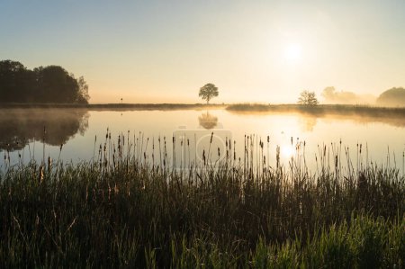 Foto de Campiña holandesa durante un amanecer nublado y tranquilo. - Imagen libre de derechos