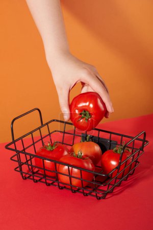 Téléchargez les photos : La main tient une tomate rouge juteuse dans un panier en filet. Fond orange et rouge. Les tomates ne sont pas seulement un aliment sain, mais aussi utilisé par beaucoup de gens pour embellir la peau. - en image libre de droit