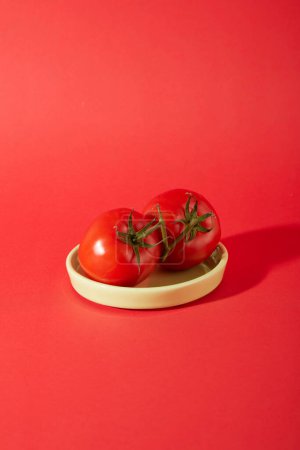 Téléchargez les photos : Deux tomates rouges juteuses sont placées sur un plat en céramique sur un fond rouge. Les tomates ont un goût aigre-doux, des propriétés fraîches et ont pour effet de créer de l'énergie, de reconstituer les minéraux, etc.. - en image libre de droit