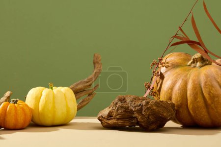 Photo for Against the green background, pumpkins with different size and color decorated with block of stone and dry leaves. Blank space for cosmetic product presentation. Autumn concept for advertising - Royalty Free Image