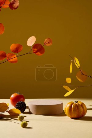 Téléchargez les photos : Vue de face du podium de cylindre brun affiché sur fond d'automne avec des branches de feuilles sèches, citrouille, tomate et cône de pin sec. Espace vide pour l'affichage des produits cosmétiques - en image libre de droit