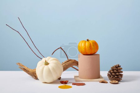 Photo for Minimalist scene for advertising and branding product with Thanksgiving concept. Mini pumpkins on podium decorated with dry twigs and leaves on pastel background. Front view - Royalty Free Image