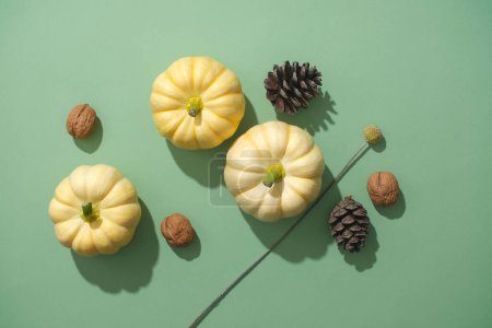 Téléchargez les photos : Vue de dessus des mini citrouilles décorées de cônes de pin secs et de noix sur un fond vert. Idées de décoration uniques, automne chaud et joyeux Thanksgiving - en image libre de droit