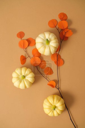 Photo for Mini pumpkins decorated with a dry branch with beautiful orange leaves on a brown background. Decorate the autumn landscape. Vertical frame for social advertising - Royalty Free Image