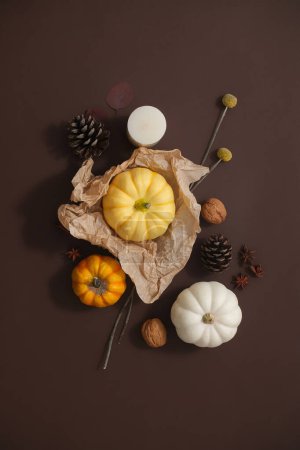 Téléchargez les photos : Concept de décoration d'automne et heureux jour de Thanksgiving. Citrouilles signifient une bonne saison des récoltes. Fond brun pour une ambiance chaleureuse. Photographie créative pour la publicité - en image libre de droit