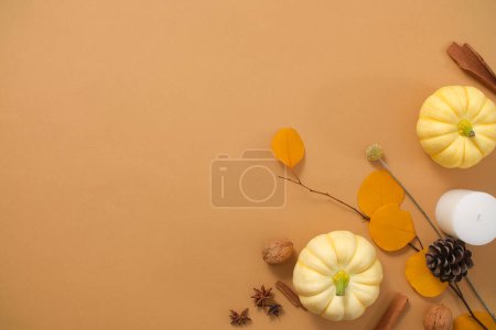 Photo for Brown background with Autumn floral decoration. Pumpkins, dry branch tree, cinnamon sticks and nuts arranged and create space for design. Abstract background for branding and minimal presentation. - Royalty Free Image