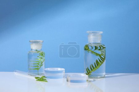 Foto de Frascos transparentes que contienen agua y hojas verdes. Dos podios redondos vacíos mostrados sobre fondo azul. Composición abstracta en diseño minimalista - Imagen libre de derechos