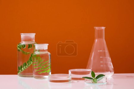 Foto de Un frasco de florencia de fondo plano arreglado con dos frascos y una placa de Petri. Galería de productos en blanco geométrico representa la presentación de productos cosméticos. Fondo naranja - Imagen libre de derechos