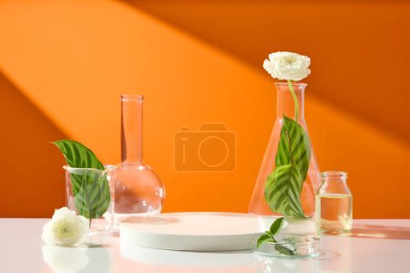 Téléchargez les photos : Podium blanc vide entouré de verrerie de laboratoire contenant des feuilles et des fleurs. Maquillage pour expositions ou présentation de produits cosmétiques ou d'emballages - en image libre de droit