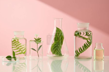 Photo for Different types of laboratory glassware containing green leaves are arranged in a line. Research and develop beauty skincare product concept by scientific method - Royalty Free Image