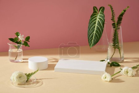 Foto de Rectángulo y podio redondo exhibidos sobre fondo beige con flores de Buttercup persa y hojas verdes. Composición abstracta en diseño minimalista - Imagen libre de derechos
