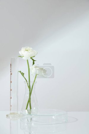Téléchargez les photos : Podium transparent en forme ronde orné d'un cylindre de mesure et d'une fiole conique de branche de fleur. Espace vide pour la présentation de produits naturels - en image libre de droit