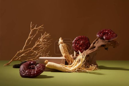 Photo for Concept for advertising product from traditional medicine at Korean. Ganoderma mushrooms and ginseng roots decorated on brown and green background with dry twigs and wooden podium. Space for design - Royalty Free Image