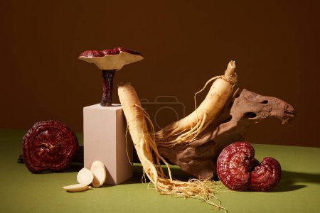 Photo for Minimal art background with fresh ginseng roots and ganoderma mushrooms decorated on brown background. Photo for medicine advertising, photography traditional medicine content - Royalty Free Image