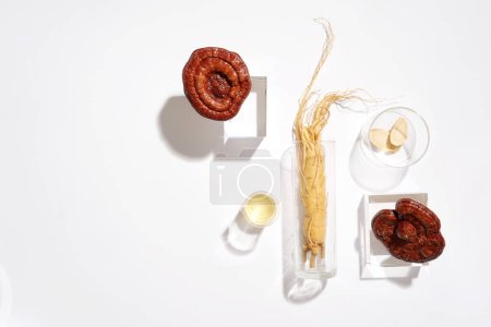 Photo for Background image for the presentation product with rare herbal ingredient. Top view of lingzhi mushrooms and ginseng root decorated on white background. Empty space for text and design - Royalty Free Image