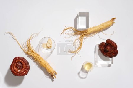 Photo for Modern concept for advertising and branding cosmetic with ginseng and lingzhi mushroom on white background. These herbs provide many health benefits. Background of herbal ingredient for healthcare - Royalty Free Image