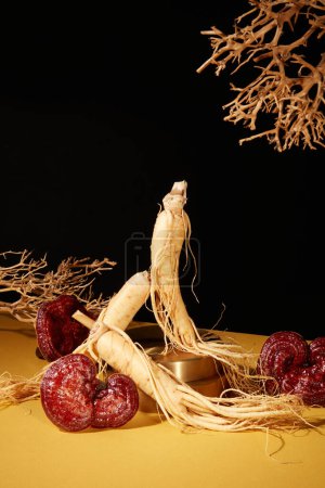 Photo for Scene for medicine advertising, photography traditional medicine content with lingzhi mushrooms and ginseng roots on black background. Front view, these herbs provide many health benefits - Royalty Free Image